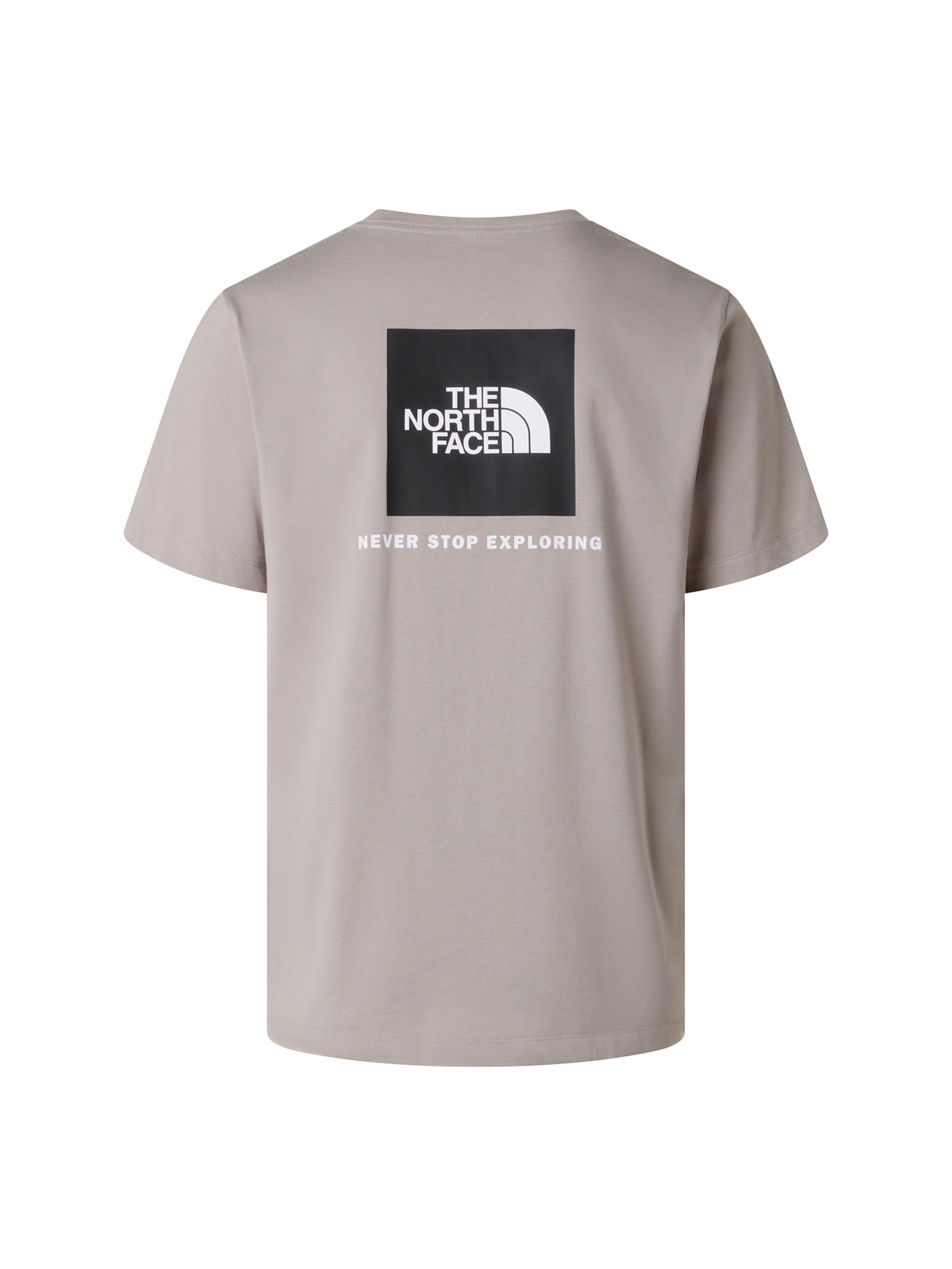 THE NORTH FACE - Camiseta 'Evolution Box NSE' en gris