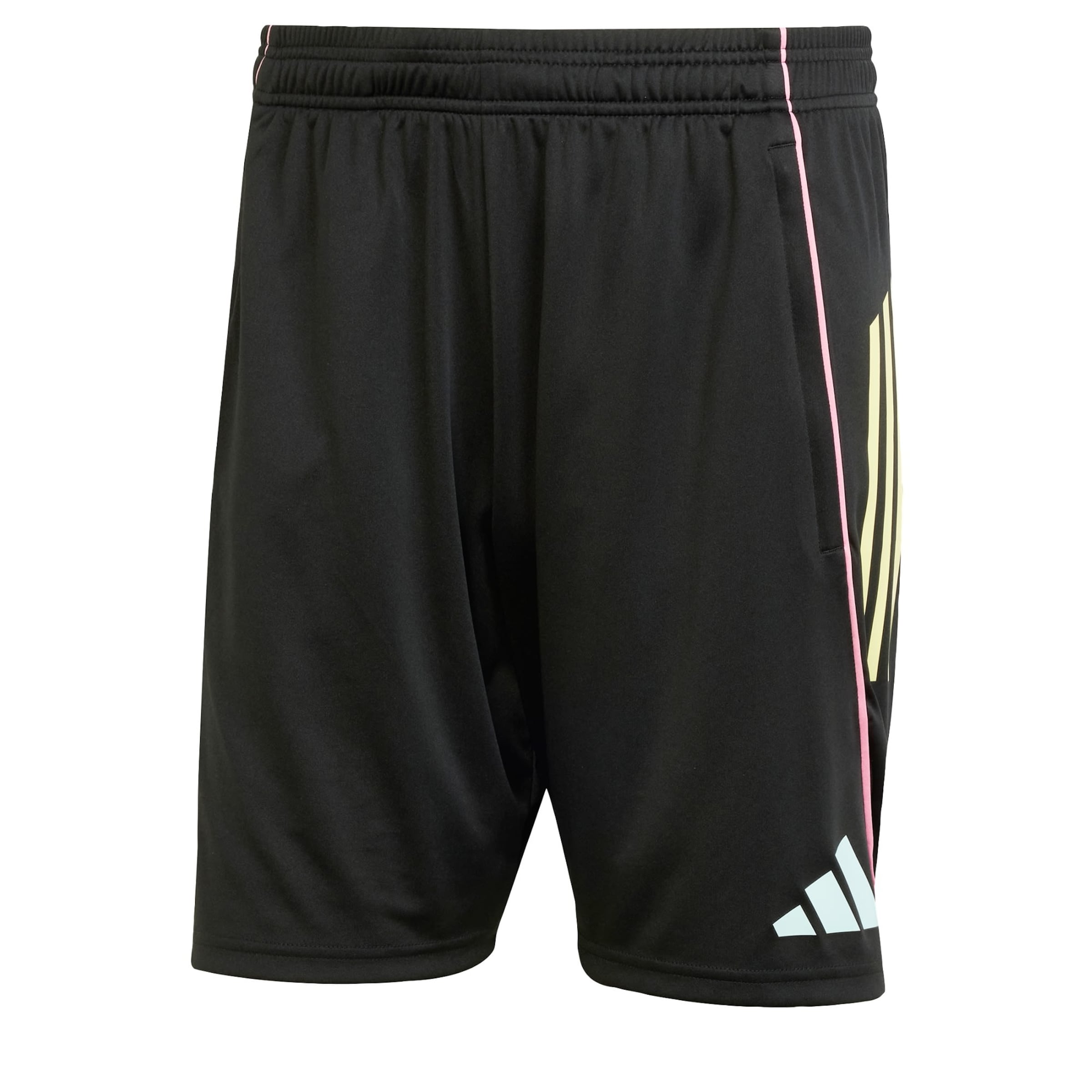 Regular Pantalon de sport 'Juventus Turin Tiro 25 Competition' ADIDAS PERFORMANCE en noir : devant