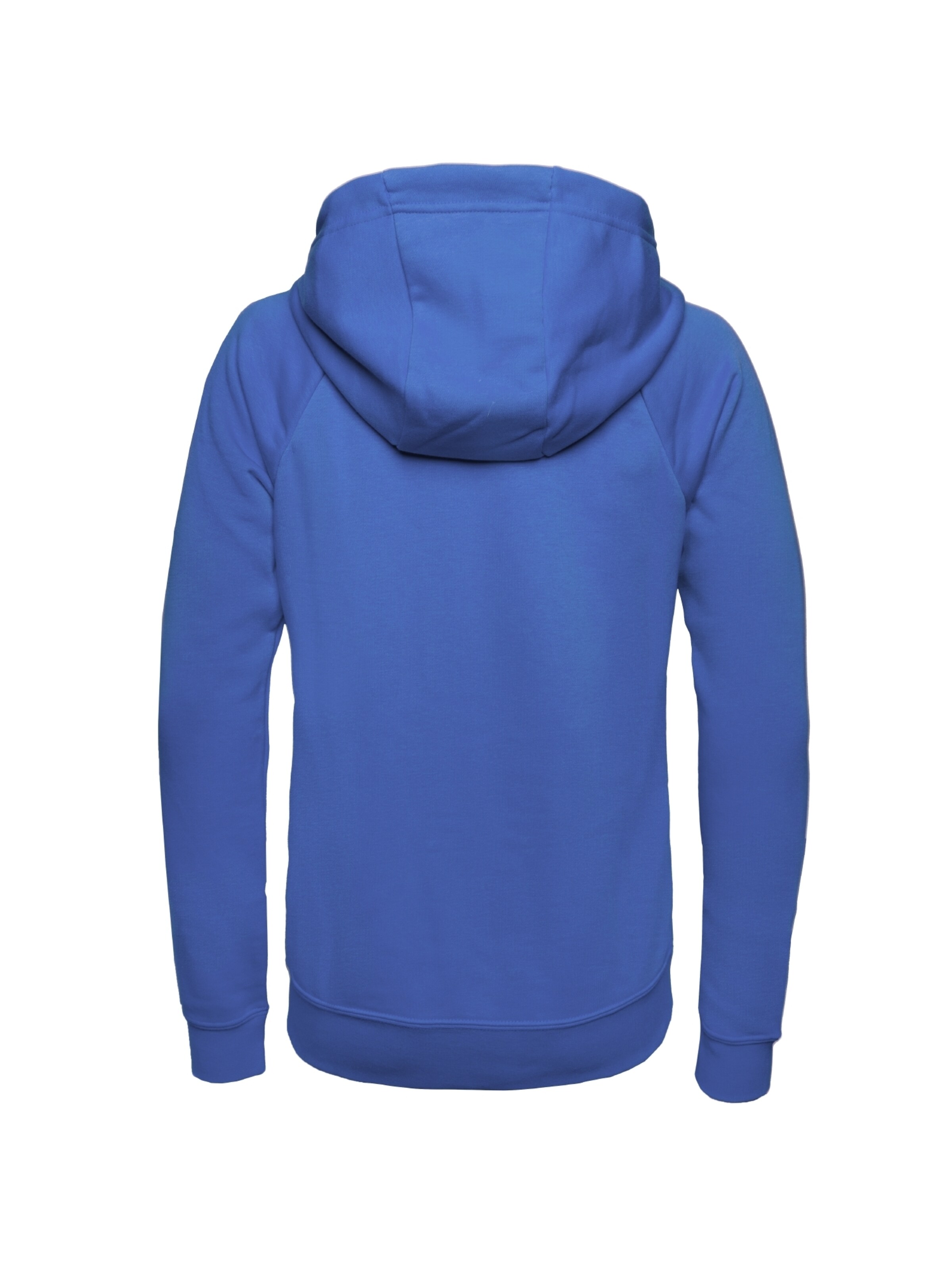 NIKE Athletic Sweatshirt 'Park 20' in Blue