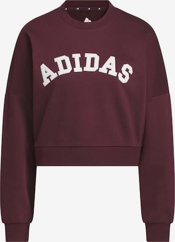 ADIDAS SPORTSWEAR Sportief sweatshirt 'Holiday' in Bruin: voorkant