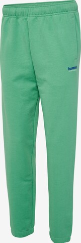 Hummel Zúžený strih Športové nohavice - Zelená
