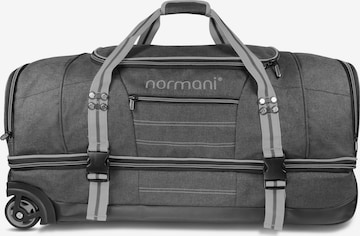 normani Trolley 'Kompass 120' in Grau: predná strana