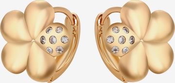 auksinė faina Auskarai: priekis