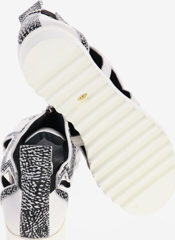 MAISON SHOESHIBAR Sandals & High-Heeled Sandals in 41 in White