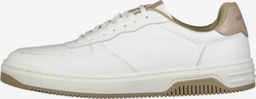 Baskets basses ROY ROBSON en blanc : devant