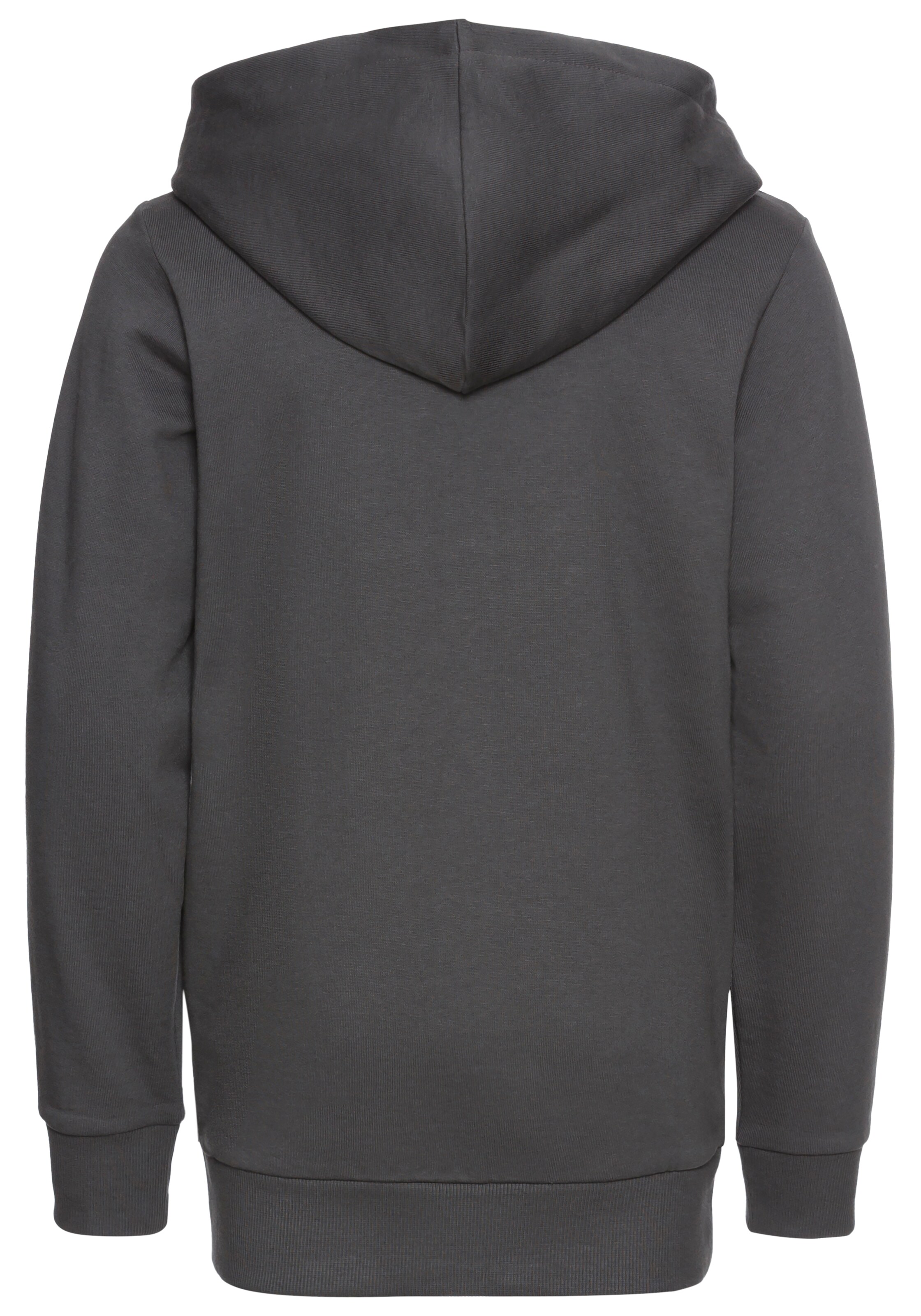 Kidsworld Sweatshirt in Grey