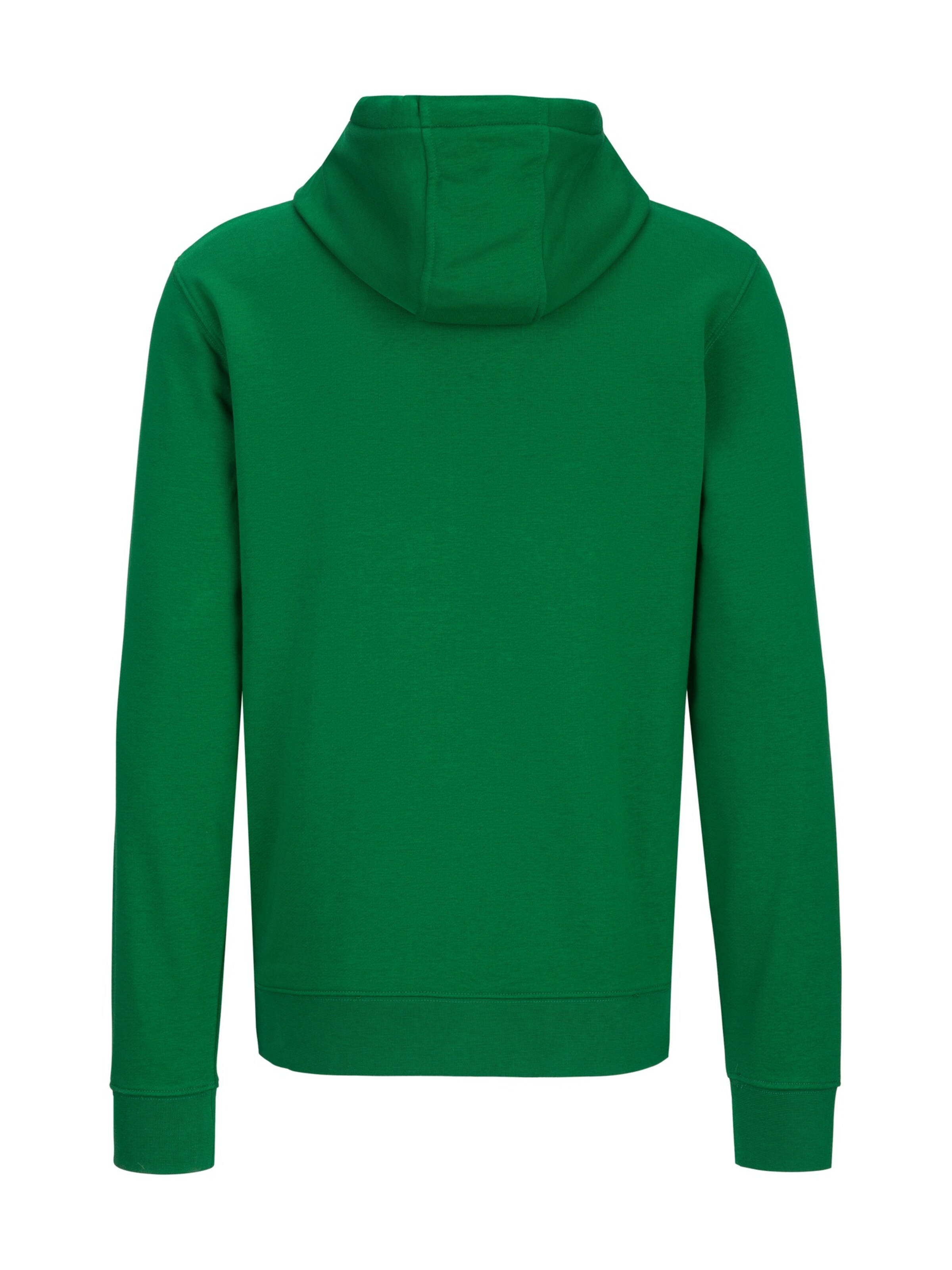 19V69 ITALIA Sweatshirt 'Matteo' in Green