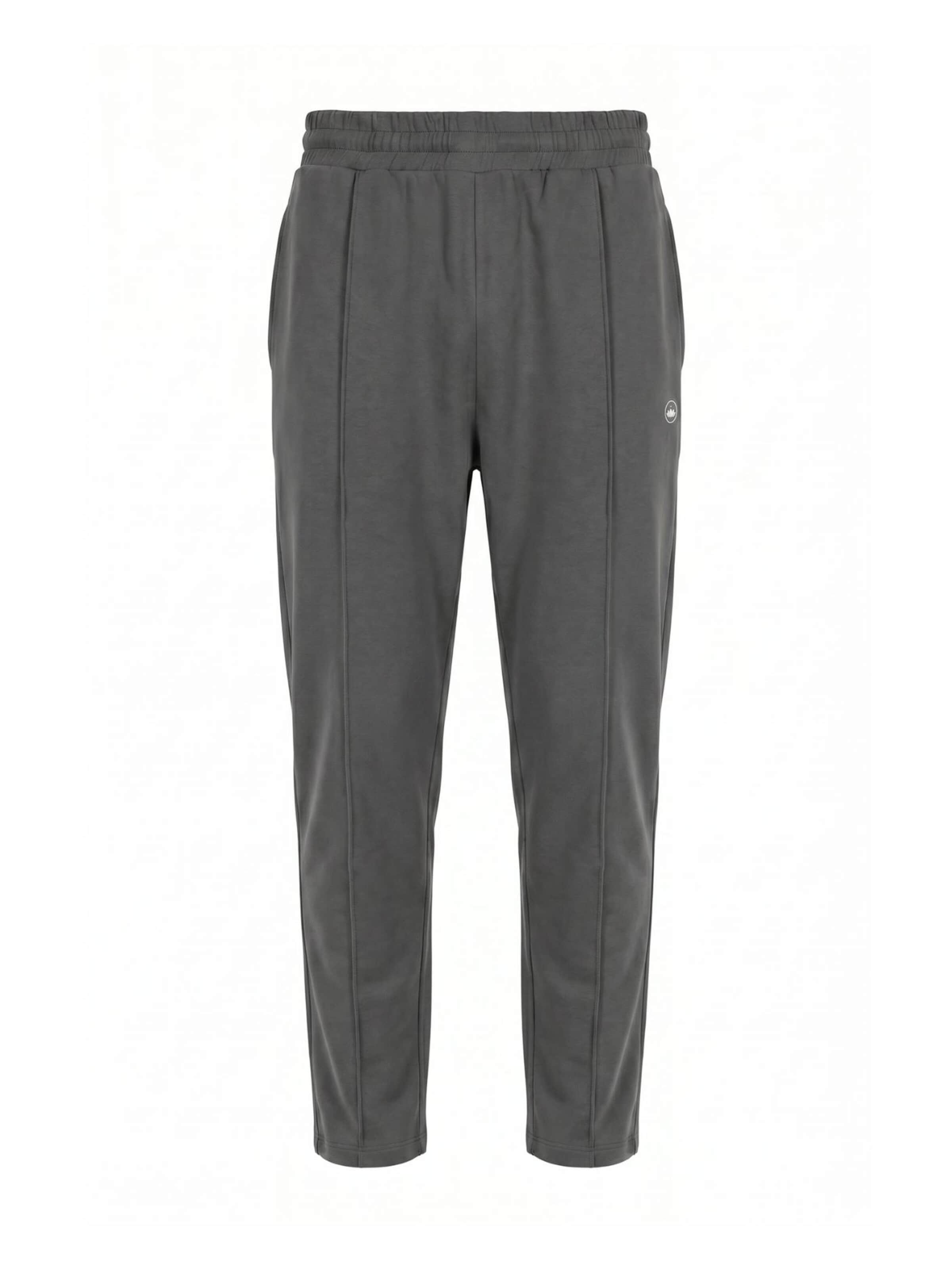 LOTUSCRAFTS Workout Pants 'QUINN Mens Pants' in Grey: front