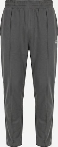LOTUSCRAFTS Workout Pants 'QUINN Mens Pants' in Grey: front