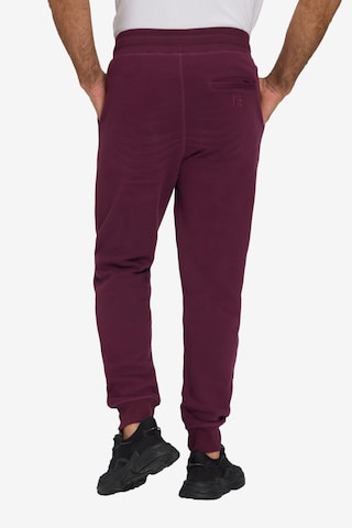 JAY-PI Tapered Pants in Purple