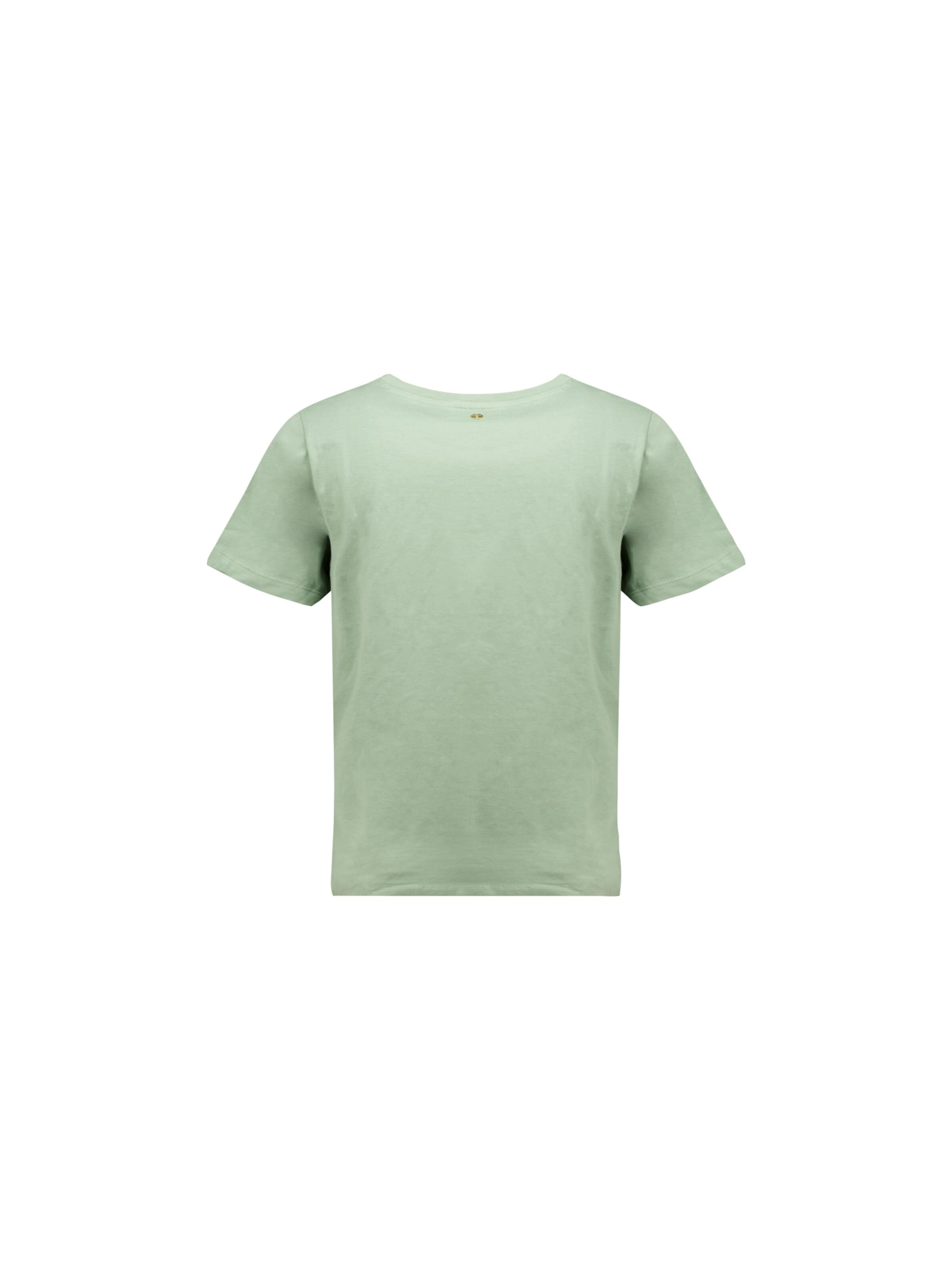 Deeluxe Shirt in Groen