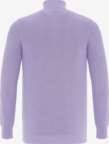 DENIM CULTURE - Pullover 'EMILE' em roxo