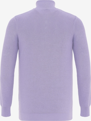 DENIM CULTURE Sweater 'EMILE' in Purple