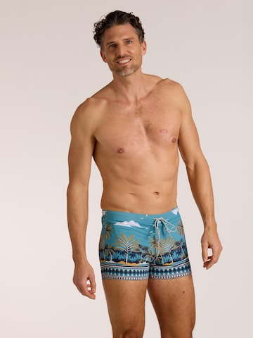 wavebreaker Badehose in Blau