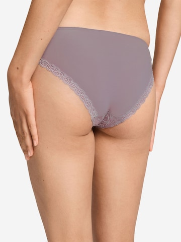 Hanro Panty ' Moments ' in Pink
