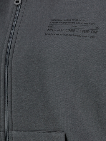 Sublevel Sweatjacke in Grau