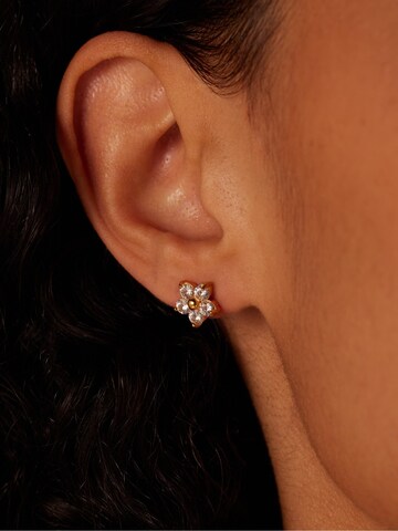 Lucardi Earrings in Gold: front