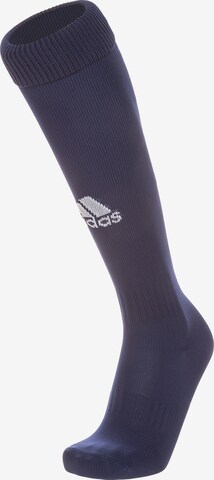 ADIDAS SPORTSWEAR Soccer Socks 'Santos 18' in Blue: front