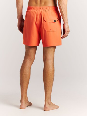 PROTEST Board Shorts 'PRTIgapo' in Purple