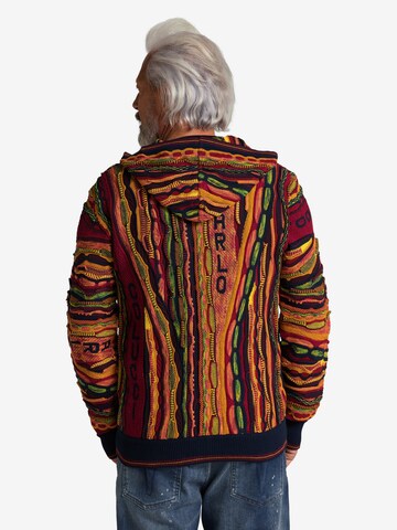 Carlo Colucci Strickjacke 'Conzatti' in Mischfarben