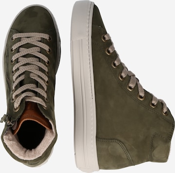 Paul Green High-Top Sneakers in Brown