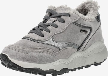 Sneaker bassa di IMAC in grigio: frontale