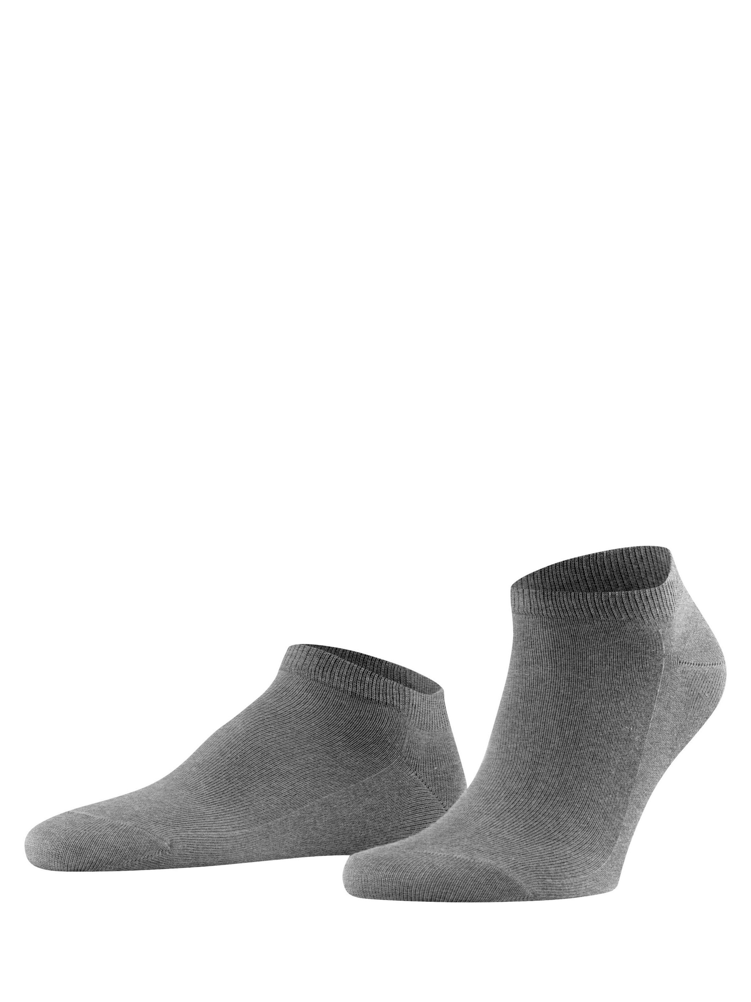 FALKE Socks 'Family' in Grey: front