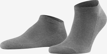 FALKE Socks 'Family' in Grey: front