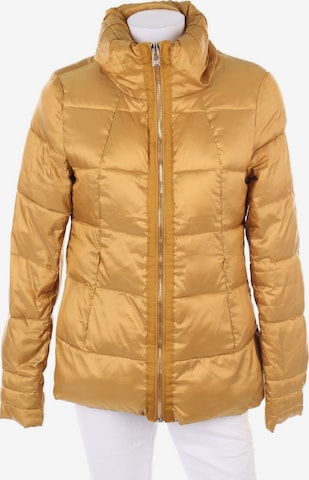 Chicorée Puffer Jacke S in Gelb: predná strana