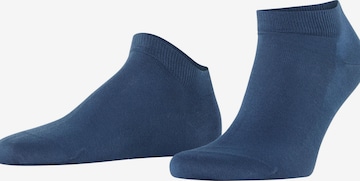 FALKE Socks 'Cool 24/7' in Blue: front