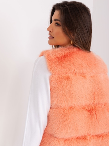 Madnezz House Weste '2349.00P' in Orange