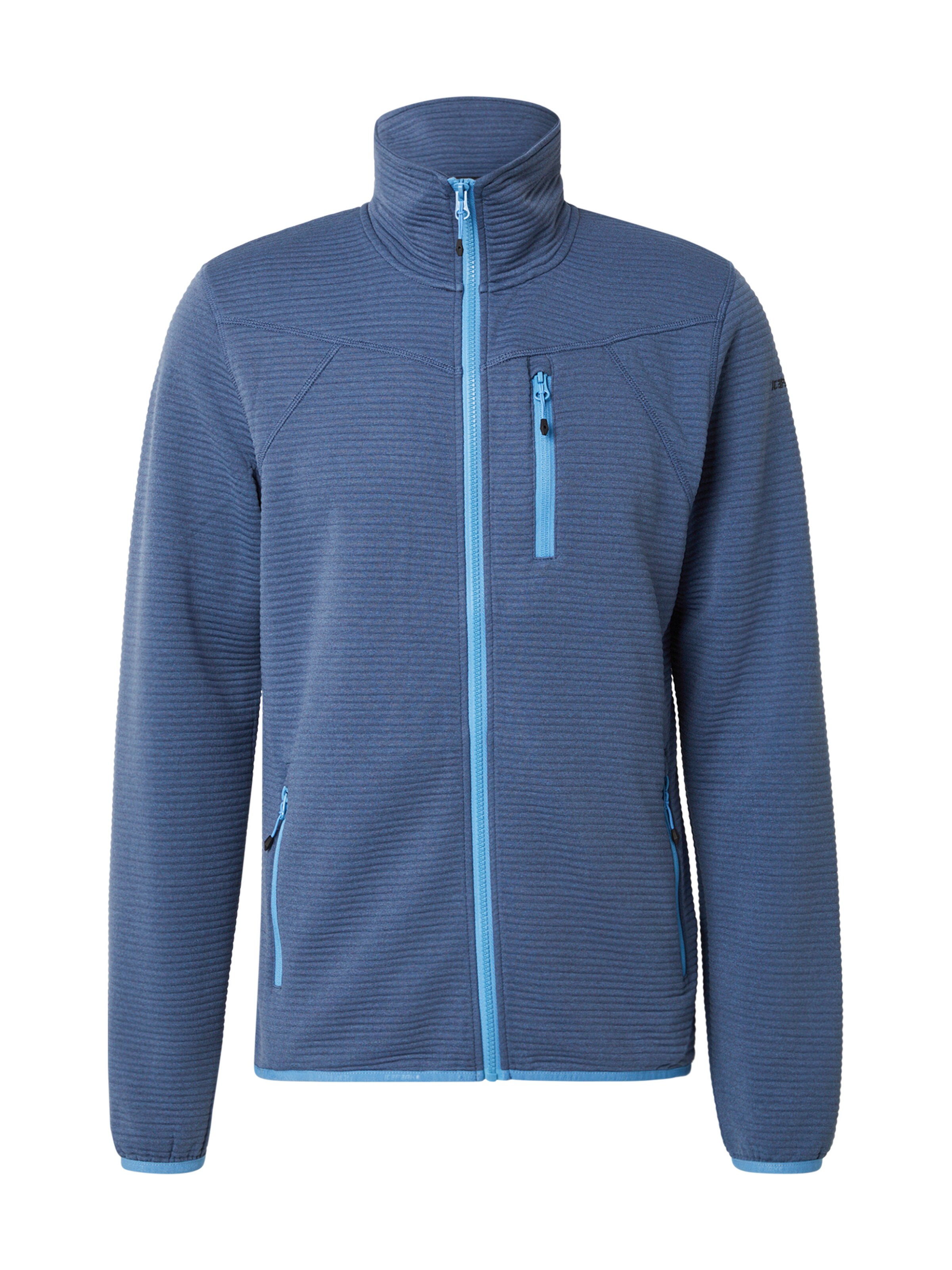 ICEPEAK Athletic fleece jacket 'BERTHOLD' in Blue: front