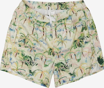 DEDICATED. Shorts 31-32 in Mischfarben: Vorderseite