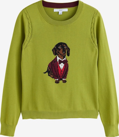 Pullover in XS Next di colore verde, Visualizzazione prodotti