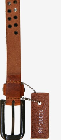 Petrol Industries Belt in Brown