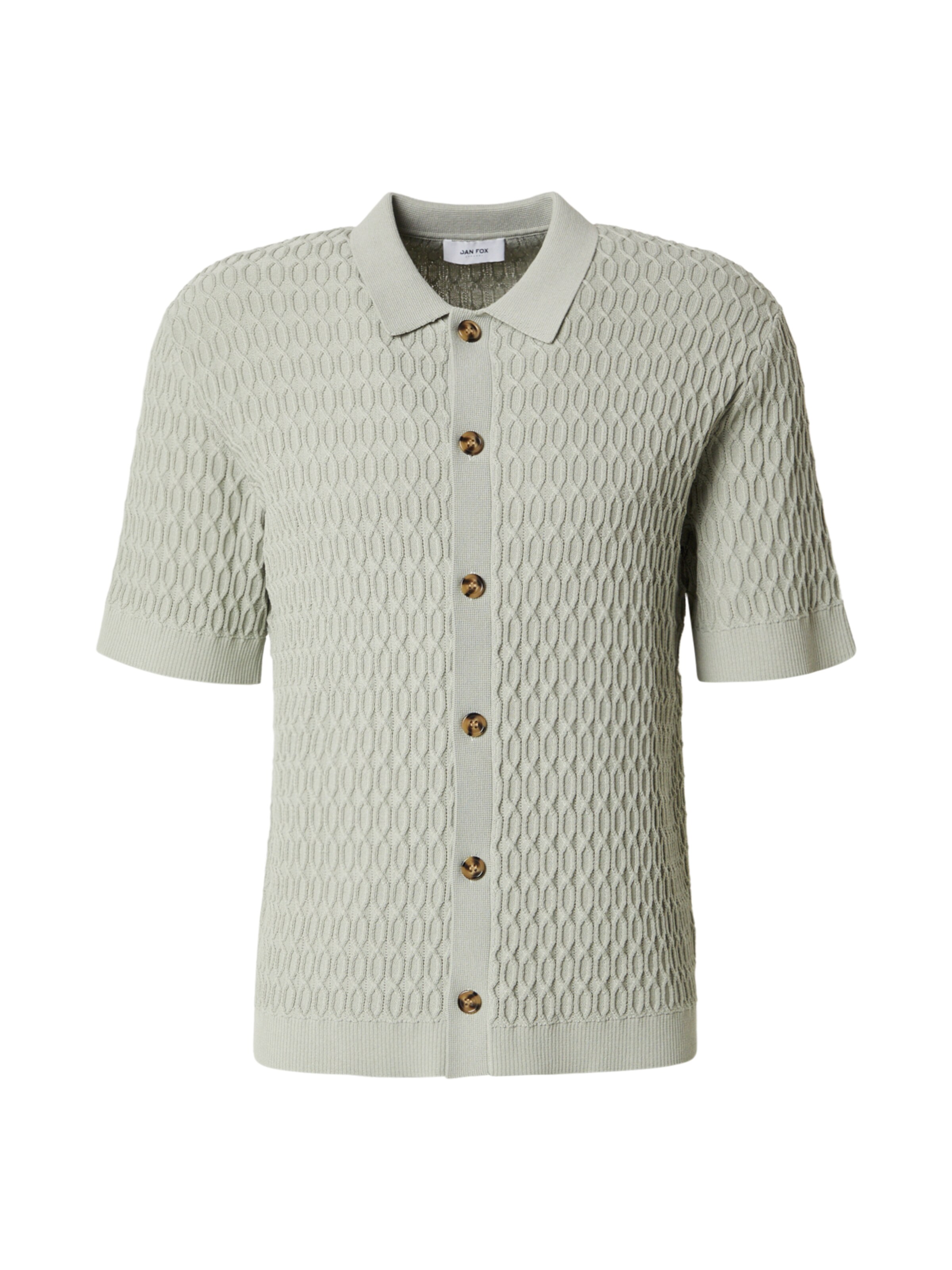 Cămașă 'Domenic' DAN FOX APPAREL pe verde deschis, Vizualizare produs