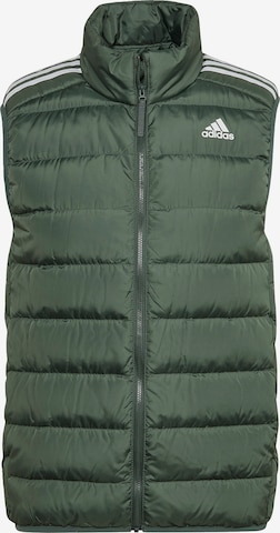 adidas Terrex Sports Vest in Green: front