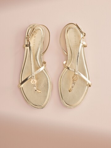 B by Ted Baker Zehentrenner in Gold