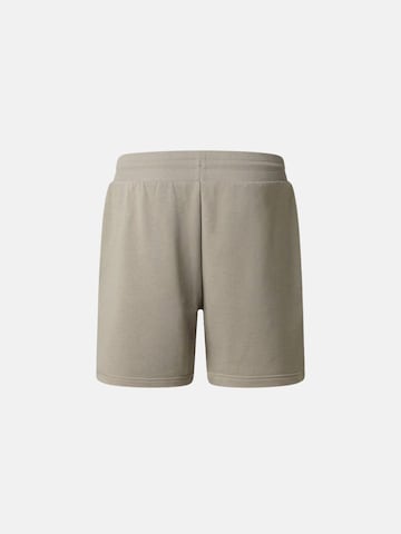 THE NORTH FACE Boxershorts 'SD LT RG' in Grijs