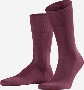 Chaussettes FALKE en violet : devant