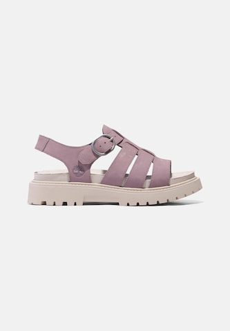 TIMBERLAND Sandal in Purple