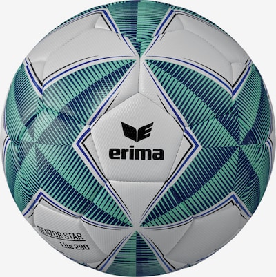 ERIMA Ball in Blue / Green / Black / White, Item view