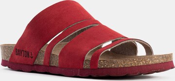 Bayton Mules 'Leiria' in Red