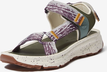Sandalo con cinturino di TIMBERLAND in colori misti: frontale