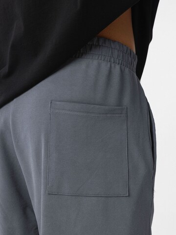 Dandalo Regular Broek in Grijs