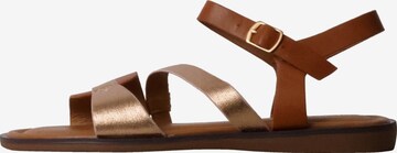 POTI PATI - Sandalias 'Flache Sandalen mit Riemchen' en marrón: frente