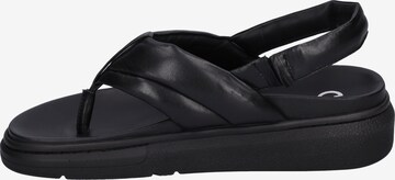 GERRY WEBER T-Bar Sandals 'Aversa 03' in Black