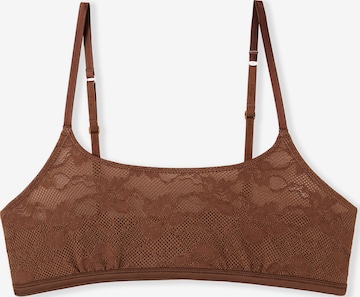 Soutien-gorge 'Pure Dentelle' ETAM en marron : devant