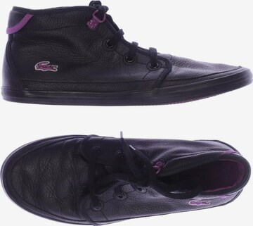 Lacoste sales ankle boots