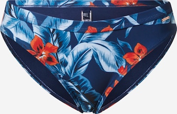 Superdry Bikini Bottoms in Blue: front